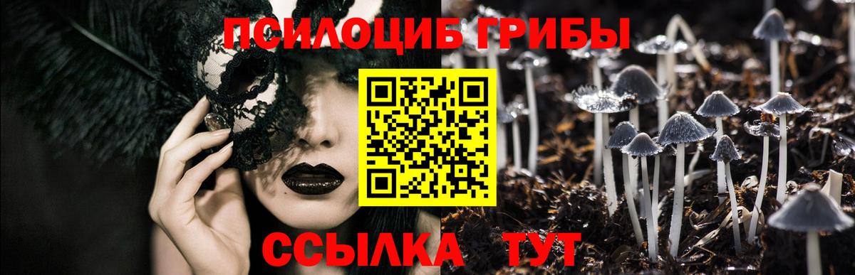 Галлюциногенные грибы ЛСД  Вход с VPN  Северобайкальск 